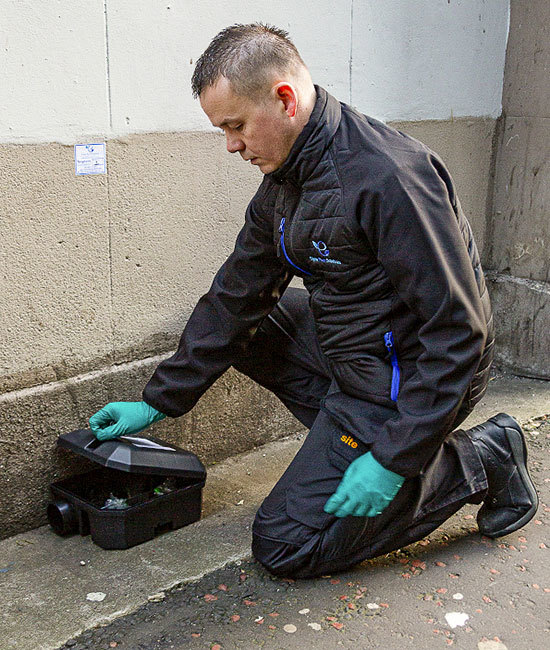 Rat exterminator placing devices for pest control.